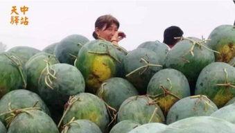 上饶万达现场吃瓜视频,一场全民围观的热闹盛宴